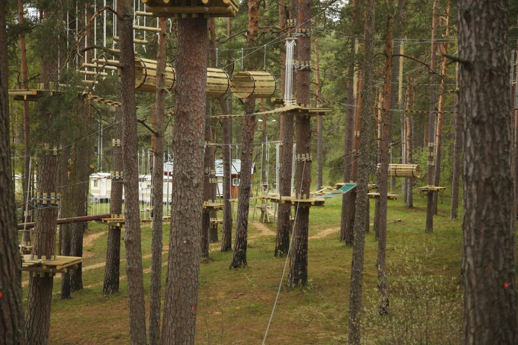Circuito multiaventura entre los árboles construído en madera, plataformas y pasarelas